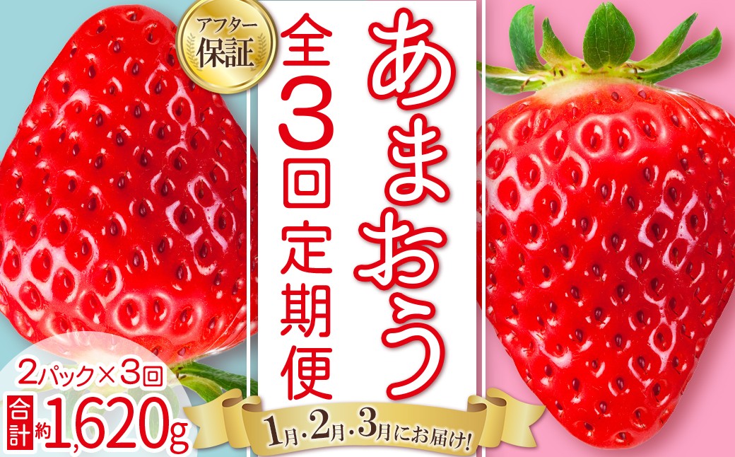 
                  【あまおう 定期便 全3回】【先行予約／2027年出荷】福岡県産あまおう 約270g 前後 ×２パック いちご イチゴ 福岡限定 ブランド 果物 フルーツ ストロべリー スイーツ ケーキ パフェ スムージー ジャム 国産 福岡県 お取り寄せ 送料無料 3W27
                