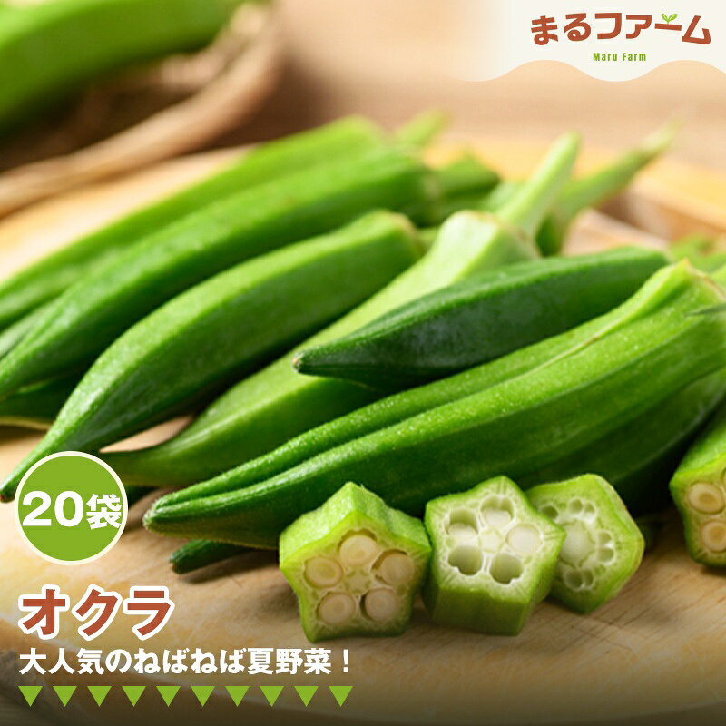 【ふるさと納税】オクラ　20袋 ／ 新鮮 国産 野菜 夏野菜 ねばねば 食感 料理用 サラダ 天ぷら 和え物 下処理簡単 大容量 日常使い 送料無料 千葉県 特産 No.378