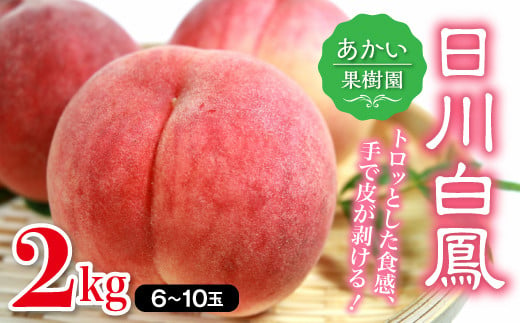 福島県産 日川白鳳 2kg 2025年7月上旬～2025年7月中旬発送 2025年出荷分 先行予約 予約 伊達の桃 桃 もも モモ 果物 くだもの フルーツ 国産 食品 F20C-447