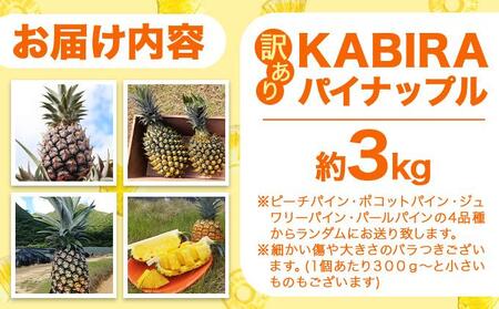 KABIRA パイナップル 訳あり ご家庭用 約3kg 4種のパインからお任せ ＜2026年6月から発送＞ | 石垣 パイン MF-002