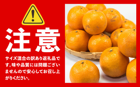 訳あり ポンカン 5kg 20-25玉 サイズ混合《2月中旬-3月中旬頃出荷》熊本県 葦北郡 津奈木町 ポンカン みかん 柑橘 送料無料