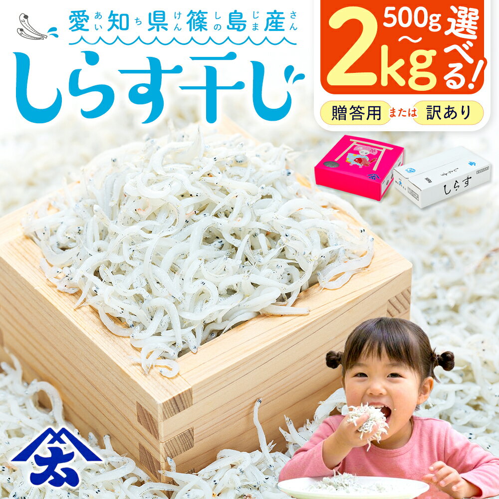 【ふるさと納税】 【特別寄附額】【最短翌日発送】 しらす干し 500g~2kg 訳あり 贈答 篠島産 ブランド 人気 ランキング 美味しい 規格外 小分け 便利 家庭用 5000円 しらす ちりめん スピード発送 シラス 南知多産 愛知 ふるさと納税しらす 南知多町