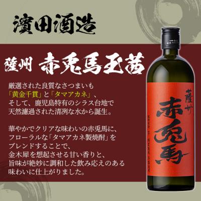 ふるさと納税 いちき串木野市 「チルグリーンspicy&citrus」・「赤兎馬玉茜」720ml飲み比べセット |  | 02
