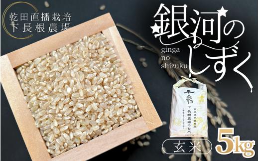 【予約販売】令和8年 平泉町産 銀河のしずく 玄米5kg / こめ 乾田直播 コメ 乾田直播栽培米 銀河のしずく 米 お米 おこめ 玄米 ご飯 ごはん ライス【sim003】