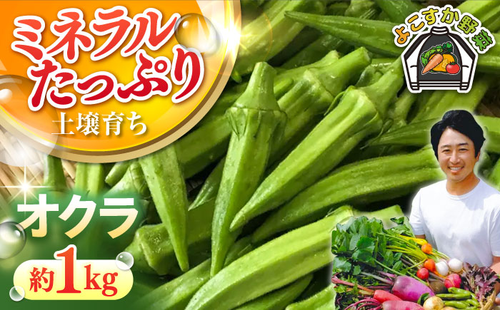 【数量限定】オクラ　約1kg【鈴也ファーム】 [AKCE023]