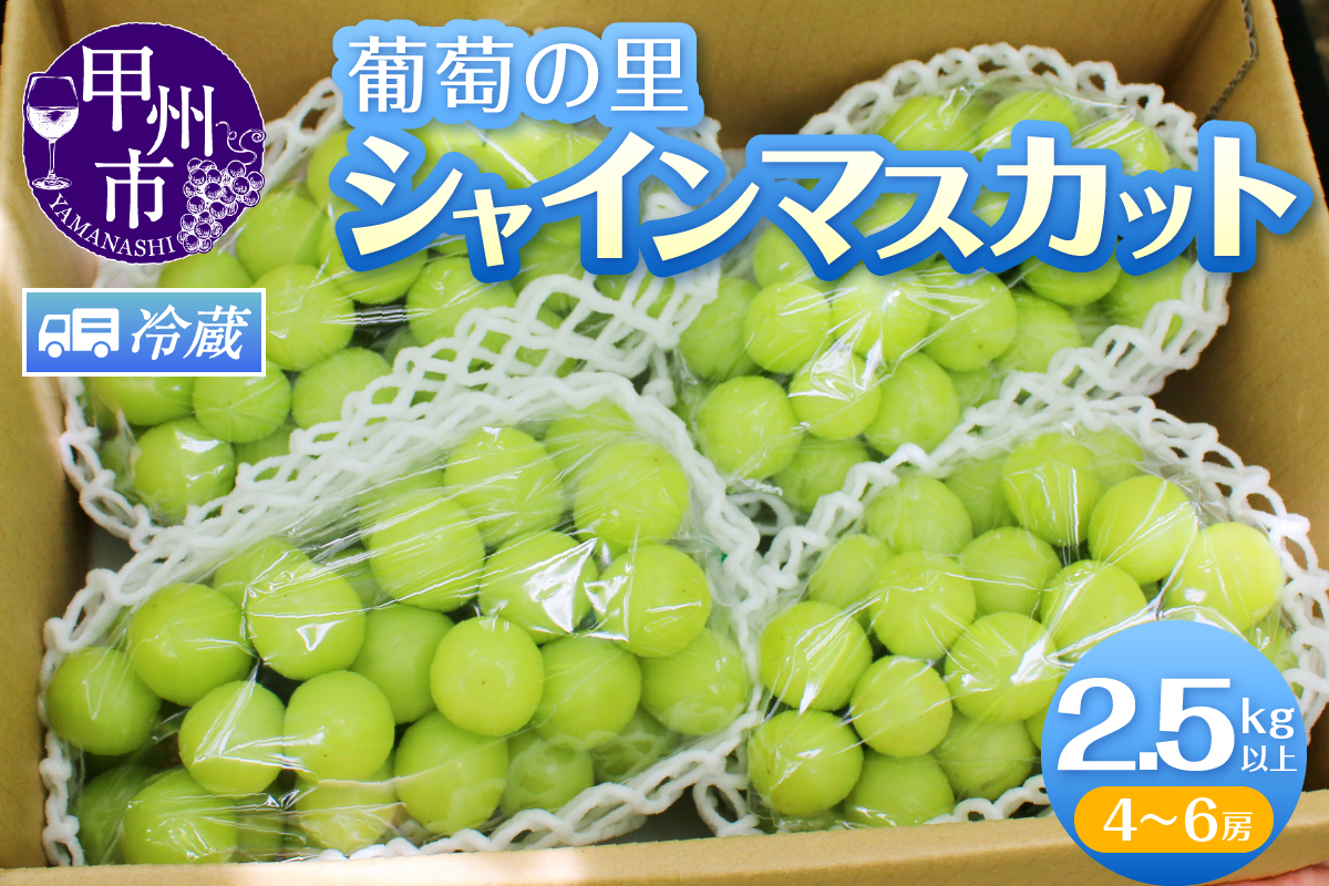 葡萄の里 シャインマスカット たっぷり大容量 2.5kg以上（4～6房）【2025年発送】（HK）C5-440