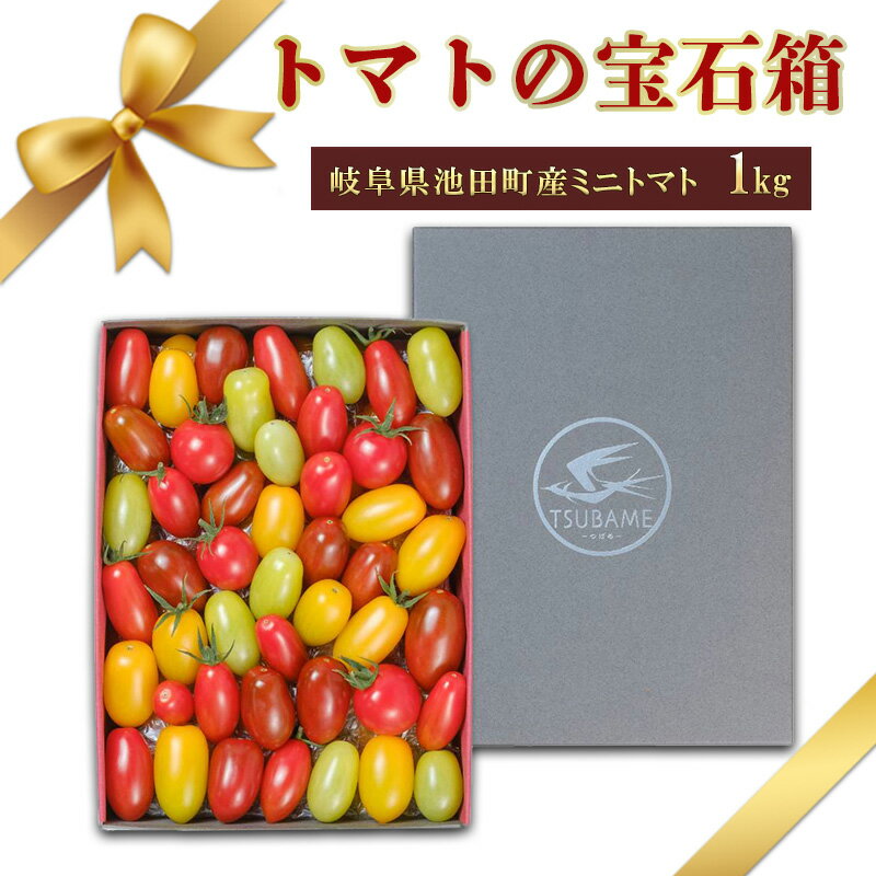 【ふるさと納税】トマトの宝石箱　 野菜 国産 付け合わせ サラダ トッピング ミニトマト 　お届け：2025年7月17日まで