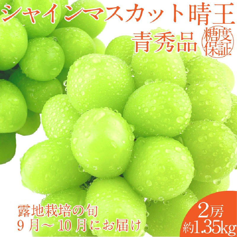 
                  【2026年 予約受付中】 シャインマスカット 晴王 2房 約1.35kg 9月～10月出荷/ 岡山県産 種無し 皮ごと食べる みずみずしい フレッシュ 晴れの国 おかやま 果物大国 彩美菜果
                
