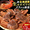 【ふるさと納税】北海道産 生大ズワイガニ メス 選べる1kg～2kg （加熱用） ずわいがに 蟹 〈斉藤水産〉 AM091 AM092冷凍 訳あり ズワイガニ ずわい蟹 ずわいガニ ズワイかに ずわいカニ 蟹 姿 カニ 生ずわい ズワイ姿 オオズワイガニ オオズワイ 白老 北海道