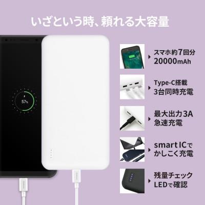 ふるさと納税 海老名市 (オウルテック)大容量20000mAh リチウムポリマーモバイルバッテリー ブラック |  | 02