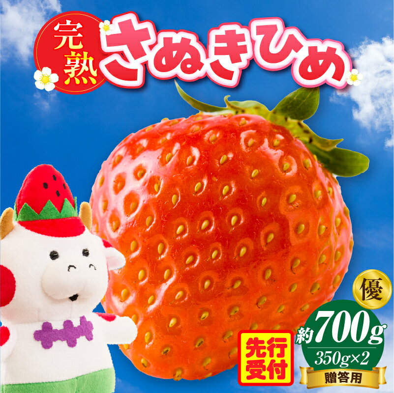 【ふるさと納税】贈答用　完熟さぬき姫　優　約700g いちご 果物 フルーツ デザート 果実 さぬきひめ 旬の果物 旬 完熟 甘い いちごジャム 完熟いちご 完熟フルーツ おすすめ 人気 贈答 希少 贈り物 香川県オリジナル 化粧箱 ご褒美 完熟フルーツ 香川県 三木町 送料無料