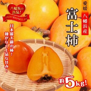 甘さにニッコリ日本最大級の柿「富士柿」約5キロ 【C39-15】【配送不可地域：離島・北海道・沖縄県】【1236930】