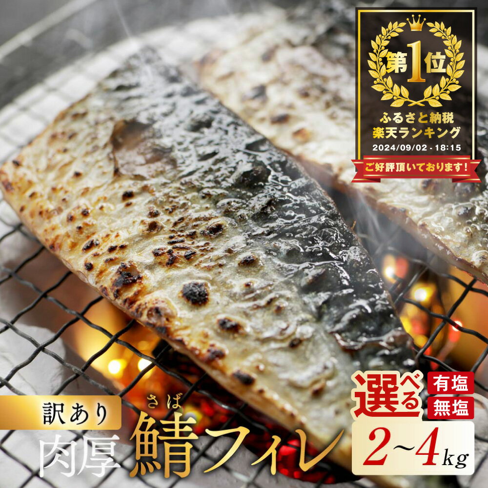 【ふるさと納税】総合1位獲得 訳あり 塩／無塩 サバ フィレ 2～4kg 【種類・内容量が選べる】（ふるさと納税 国産 鯖 ふるさと納税 サバ 塩サバ 無塩サバ 無塩鯖 魚 切り身 ふるさと納税 訳あり 魚 ふるさと おかず 惣菜 大容量 魚介 ヒレ フィレ ） 北海道 別海町