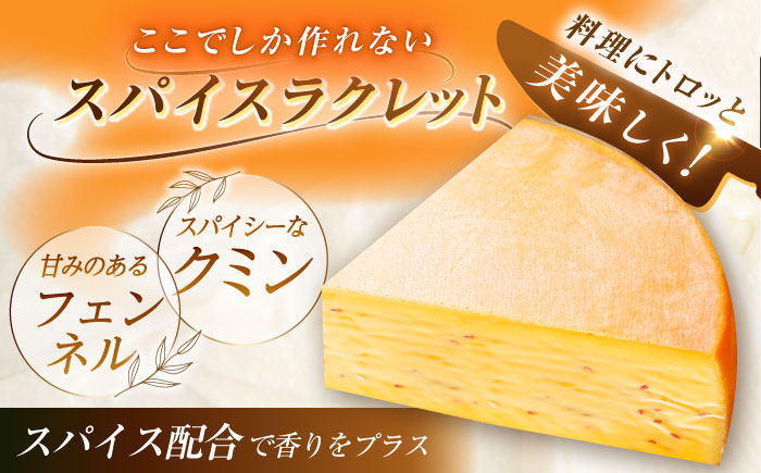 ＼TVで話題／北海道 スパイスラクレット 1/4ホール（1.25kg）【最長6ヶ月を目安に発送】《足寄町》【しあわせチーズ工房】チーズ ラクレット ラクレットチーズ 生乳 ミルク 乳製品 チーズフォン