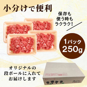 【最短発送】 飛騨牛 切り落とし 250g すき焼き 牛丼 炒め物 訳あり 肉のひぐち