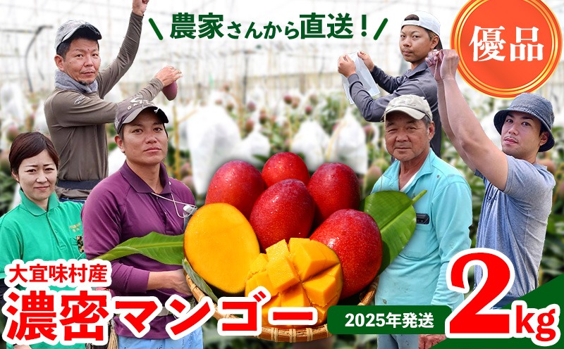 【2025年発送】濃密マンゴー《優品・2kg以上》大宜味村農家さんから直送！ 優品 先行予約 沖縄 甘味 糖度 濃厚 おいしい お土産 まんごー アーウィン 果物 くだもの 果実 送料無料 ふるさと納税 ２キロ トロピカル 化粧箱入り 食べ物 フルーツ