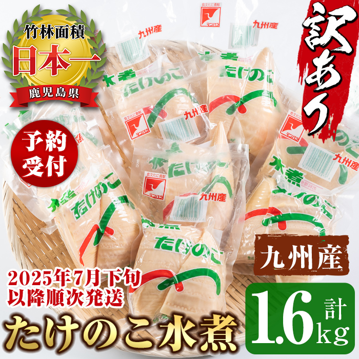 i535-2507 《先行予約受付中！2025年7月下旬以降順次発送予定》＜訳あり＞九州産たけのこ水煮(200g×8P・計1.6kg) たけのこ 筍 タケノコ 水煮 国産 訳アリ 常温保存 常温 料理 煮物 炊き込みご飯 おでん 料理 お手軽 予約 先行予約 【マツバラ】