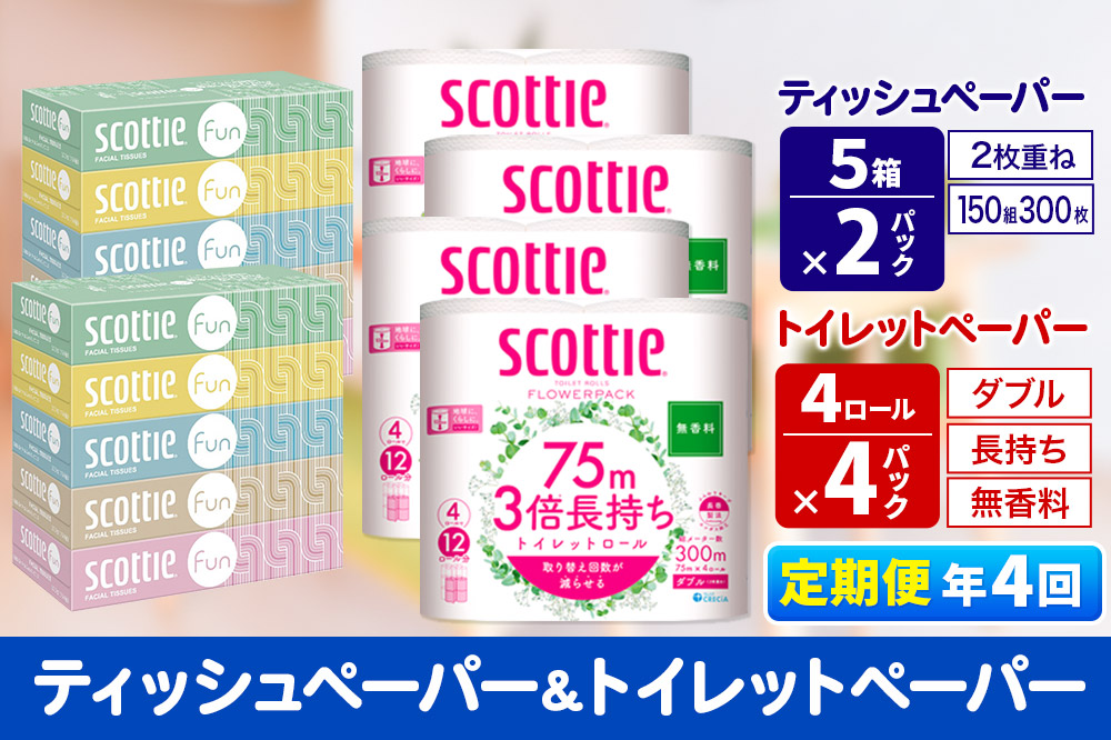 《3ヶ月ごとに4回お届け》定期便 ティッシュペーパー スコッティ ファン 150組 5箱×2パック ＆ スコッティトイレットペーパー ダブル 無香料 3倍長持ち4ロール×4パック 秋田市オリジナル【レビューキャンペーン中】