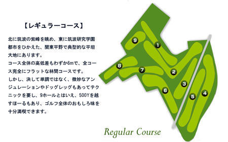 南筑波ゴルフ場ご利用券　9,000円分 【 茨城県 つくば市 ゴルフ ゴルフ場 ゴルフチケット ゴルフ ゴルフ場チケット ゴルフ チケット プレー ゴルフ プレーチケット プレー券 ゴルフ 利用券 ゴ