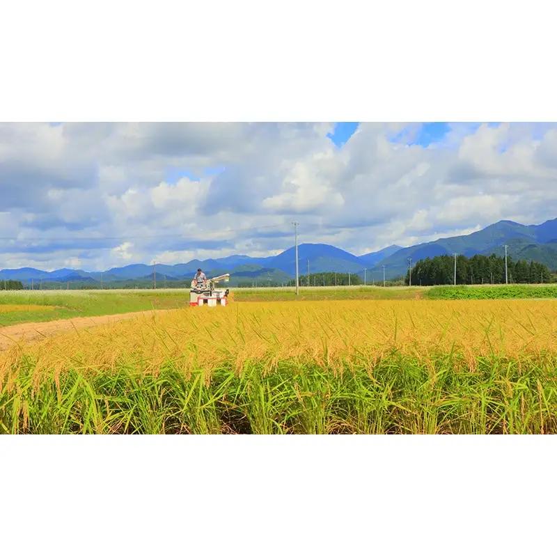 【令和7年産】 米食味鑑定士厳選 新庄産米「つや姫」2kg「雪若丸」2kgセット 米 お米 おこめ 山形県 新庄市 F3S-2899