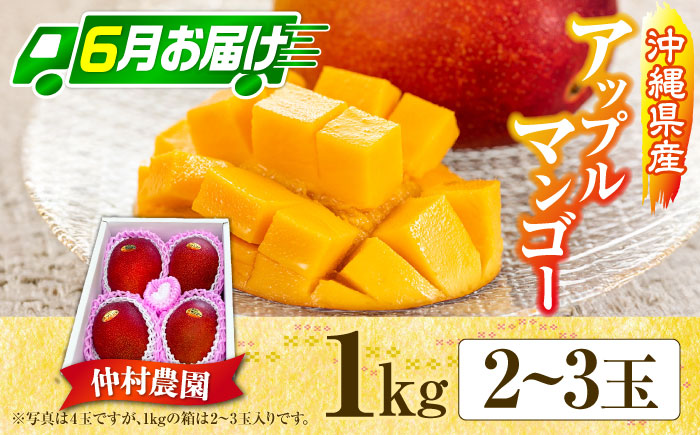 【期間限定】 【全2回】 沖縄市特産 和牛ステーキ & マンゴー アップルマンゴー 沖縄 牛肉 希少部位 ステーキ 沖縄市 / 仲村農園 / 肉のサブロー [BCZZ049]