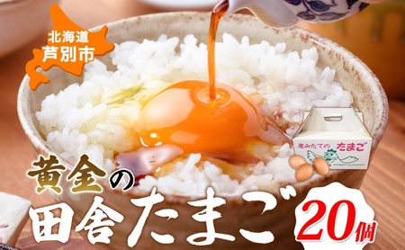 黄金の田舎たまご 20個入り 10個×2 化粧箱 北海道