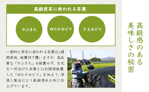 お茶の老舗“厚石園”『高級深蒸し茶セット』  ギフト A3−97【1166624】