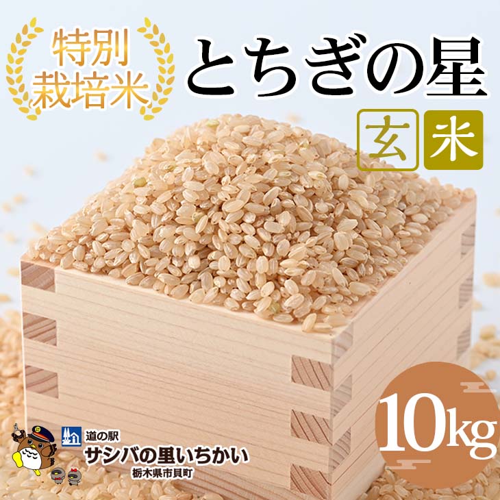 【ふるさと納税】特別栽培米　玄米〈とちぎの星〉10kg | 国産 栃木県産 とちぎの星 米 お米 特別栽培米 玄米 栃木米 とちぎ米 米の食味ランキング特A評価 産地直送 送料無料 ※離島への配送不可 ※2025年9月中旬頃より順次発送予定