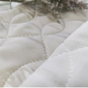 【 アイボリー 】 プレミアムシルク100%リバーシブル枕パッド 【43×63cm】アイボリー（ S-4363RMP-IV）