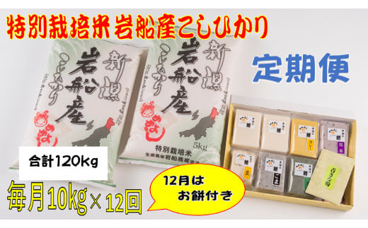 【令和7年産米】特別栽培米  新潟県岩船産 コシヒカリ 120kg（10kg×12ヶ月コース）＋お餅セット（限定月1回） 定期便 毎月 お米 白米 こしひかり きねつき もち 精米 村上市  1013014