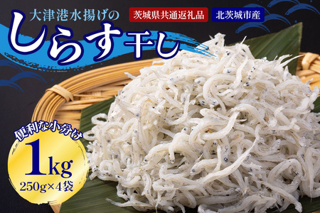 大津港水揚げのしらす干し 1kg[500g×2箱]（茨城県共通返礼品・北茨城市産） A78-009