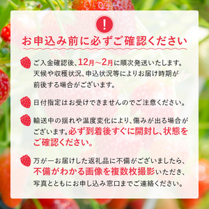 福岡県産あまおういちご　約280g以上×2パック（大粒）【12月〜2月発送】_いちご あまおう 約280g 以上 × 2パック 約560g 大粒 果物 フルーツ みずみずしい ジューシー 甘み 酸味 