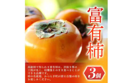 【先行予約】 道の駅くしがきの里セット 富有柿3個・温州みかん約30個の詰め合わせ こだわり農家厳選  【2026年11月上旬～12月中旬頃順次発送】/ みかん 温州みかん 柿 富有柿 かき 詰め合わ