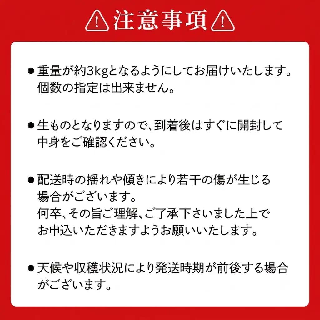 【先行予約】【数量限定】あい farm の梨 あきづき3kg (4～8玉)  (DQ012)