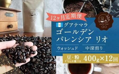 【粉】 【12か月定期便】 グアテマラ ゴールデンパレンシア リオ ウォッシュド （中深煎り） 400g コーヒー 珈琲 粉 こな