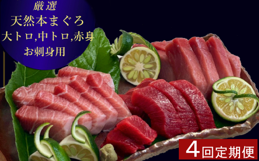 【 定期便 全４回 隔月 お届け 】厳選天然本まぐろ大トロ・中トロ・赤身 お刺身用( ２カ月に１回　合計４回 本鮪 大トロ 中トロ 赤身 セット サク 柵 スライス 天然マグロ 鮪 刺身 刺し身 食べ比べ 魚 さかな 新鮮 高知 室戸 冷凍 瞬間冷凍 小分け 便利 )