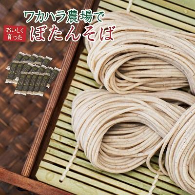 ふるさと納税 新得町 ワカハラ農場でおいしく育ったぼたんそば《太麺》20束 L-5002