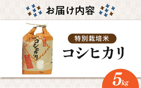 【先行予約/令和7年産新米】【特別栽培米】コシヒカリ 5kg 滋賀県長浜市/株式会社ＴＰＦ[AQCQ012]