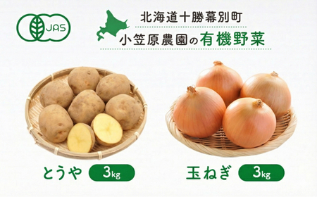 先行予約 有機野菜 2種セット 6kg とうや 玉ねぎ