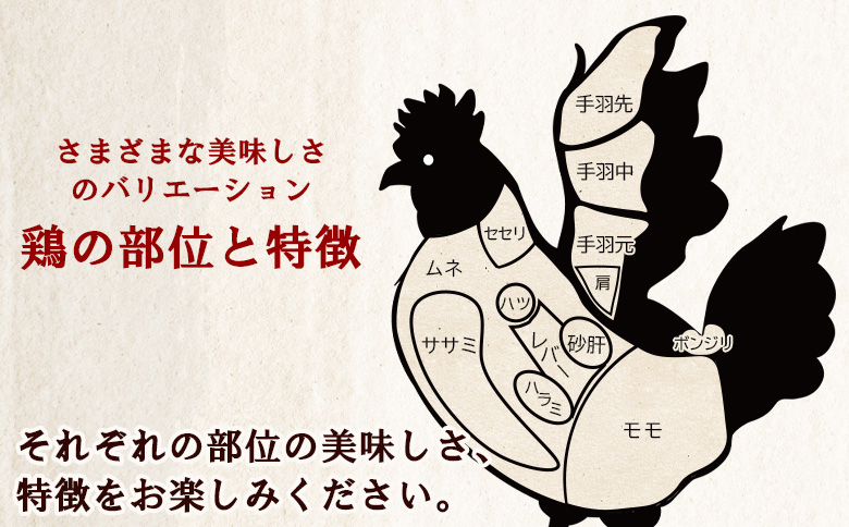 ＜宮崎県産日向鶏 もも肉 約3kg ＞国産 鶏 肉 精肉 モモ もも肉 使いやすい パック 真空冷凍 切り身 選べる数量 お弁当 惣菜 からあげ 照り焼き 数量限定 BBQ バーベキュー 鶏ムネ 鶏む