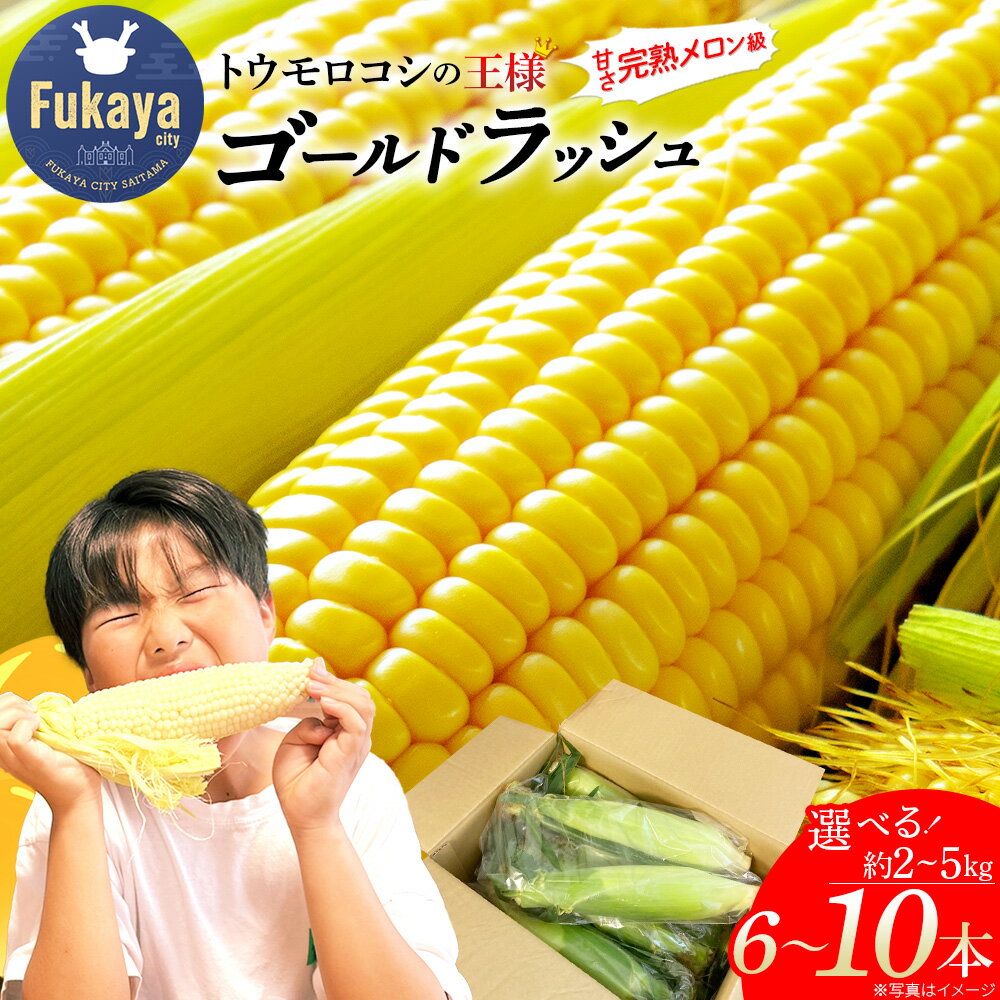 【ふるさと納税】【深谷】とうもろこしの王様 ゴールドラッシュ 選べる内容量：6本 2～3kg／8本 3～kg／10本 4～5kg　【11218-1021～1023】 トウモロコシ ゴールドラッシュ 朝採れ 甘い 高糖度 減農薬 夏野菜 ギフト お中元 コーン イーストサン 農業王国ふかや 深谷 深谷市