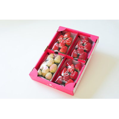 いちご生産量日本一栃木県産【春いちご 】よりどりみどり!いちご4種詰め合わせ　(300g×4パック)【配送不可地域：離島】