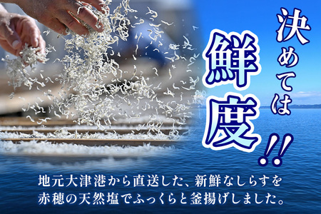 大津港水揚げの釜揚げしらす 1kg[500g×2箱]（茨城県共通返礼品・北茨城市産） A78-006