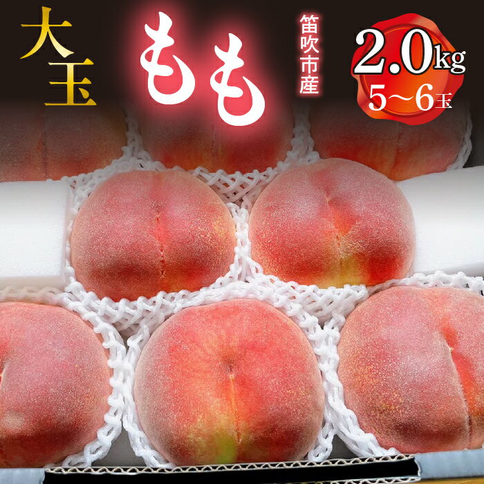 【ふるさと納税】 ＜25年発送先行予約＞ 笛吹市産　大玉もも　2.0kg(5～6玉) ふるさと納税 桃 もも 特選 大玉 笛吹市 国産 人気 期間限定 産地直送 新鮮 2025年発送 果物 フルーツ 旬 朝どれ 夏 おいしい プレゼント 贈答 ギフト 白鳳系 白桃系 山梨県 送料無料 227-008
