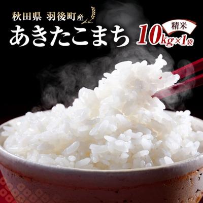 ふるさと納税 羽後町 秋田県羽後町産あきたこまち 精米 10kg(10kg×1袋)[No.5325-0584]