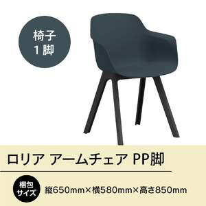 ロリア アームチェア PP脚　P3003-1WE　GZ056