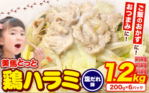味付け肉 美馬とっと 鶏ハラミ 塩だれ味 200g × 6パック まるほ食品株式会社 《30日以内に出荷予定(土日祝除く)》 ふるさと納税 鶏肉 味付 とり肉 鶏ハラミ 塩だれ味 レトルト 簡単調理 一人暮らし おつまみ 冷凍 夕飯 送料無料 徳島県 美馬市 st-p