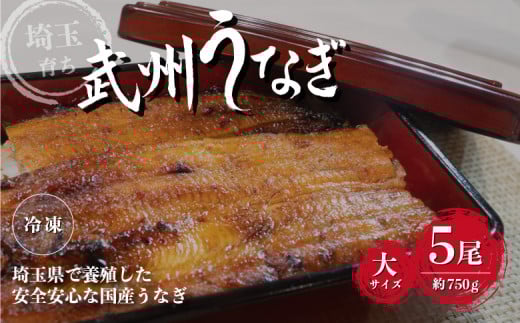 国産うなぎ蒲焼 大サイズ 5尾/約750g 冷凍真空パック