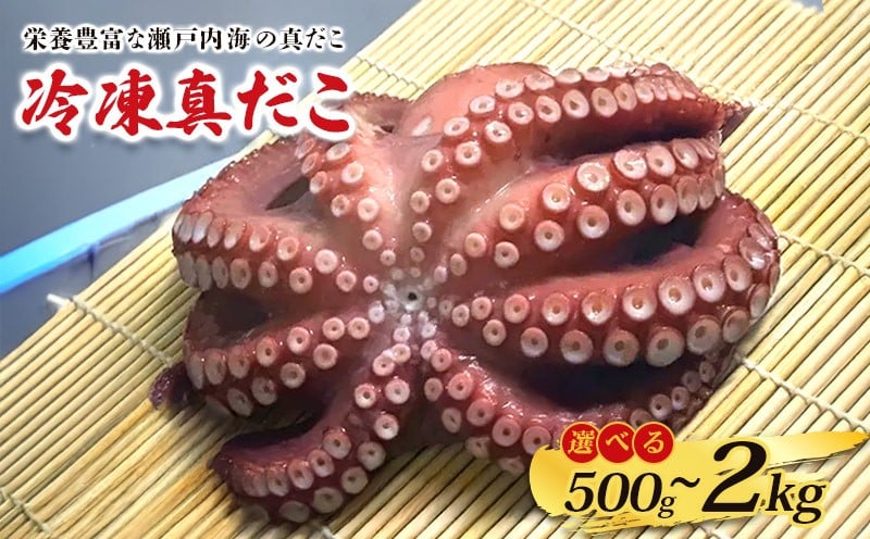 
            冷凍真だこ 約500g 約800g 約1kg 約1.3kg 約1.5kg 約1.7kg 約2kg タコ たこ 蛸 海鮮 海産物 マダコ 真ダコ 冷凍 クール 生 刺身 漁師 瀬戸内海 活たこ 素潜り タコつぼ 歯ごたえ 解凍 お刺身  お取り寄せ 人気 瀬戸内 瀬戸内海沖 瀬戸内海 香川県 丸亀市
          