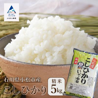 ふるさと納税 小松市 令和7年産 コシヒカリ 精米 5kg 冷めても美味しい小松市産のお米